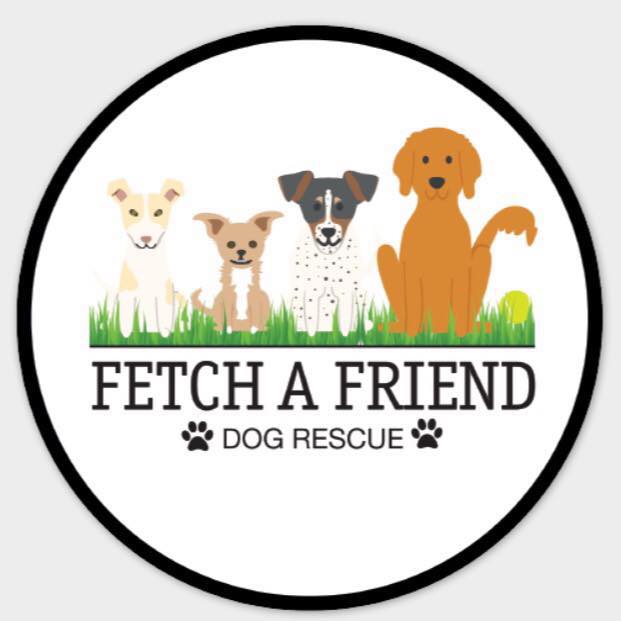 Read more about the article Fetch A Friend Rescue