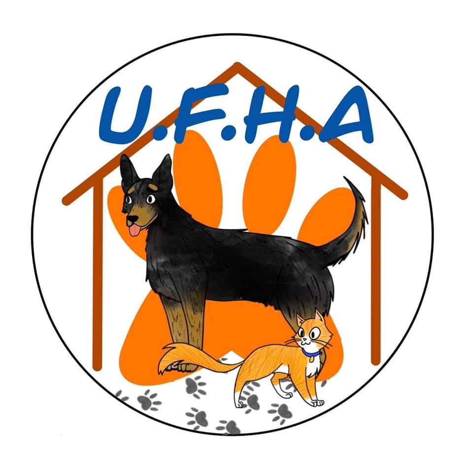 Read more about the article United Friends of Homeless Animals