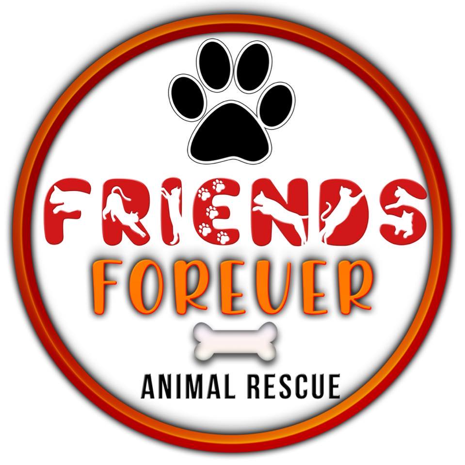 Read more about the article Friends Forever Animal Rescue