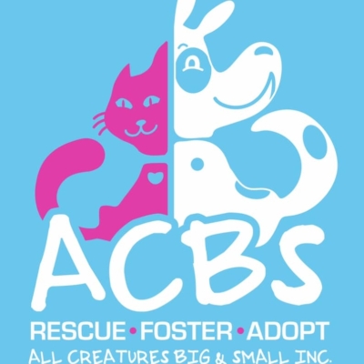 All Creatures Big and Small Pet Rescue CNY Tuesdays