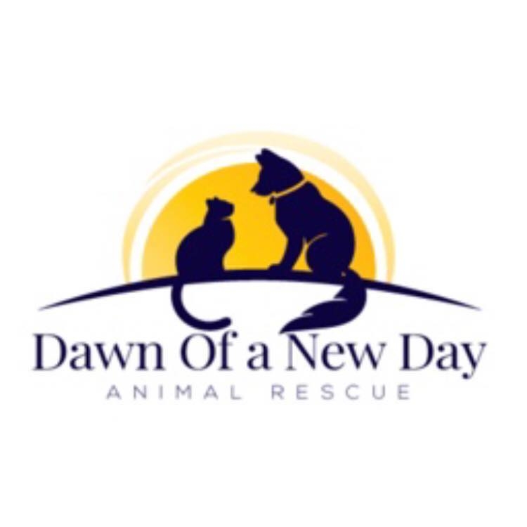 Dawn of a New Day Animal Rescue CNY Tuesdays