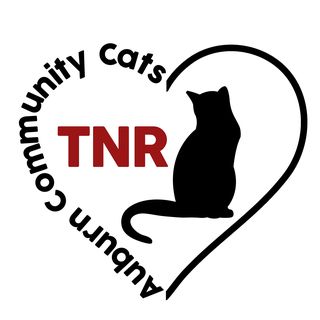 Read more about the article Auburn Community Cats TNR