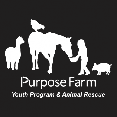 Read more about the article Purpose Farm