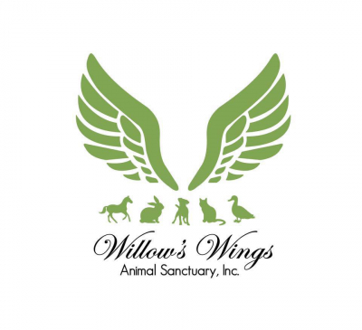 Willows Wings