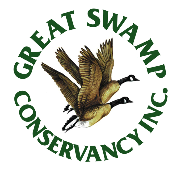 Great Swamp Conservancy CNY Tuesdays