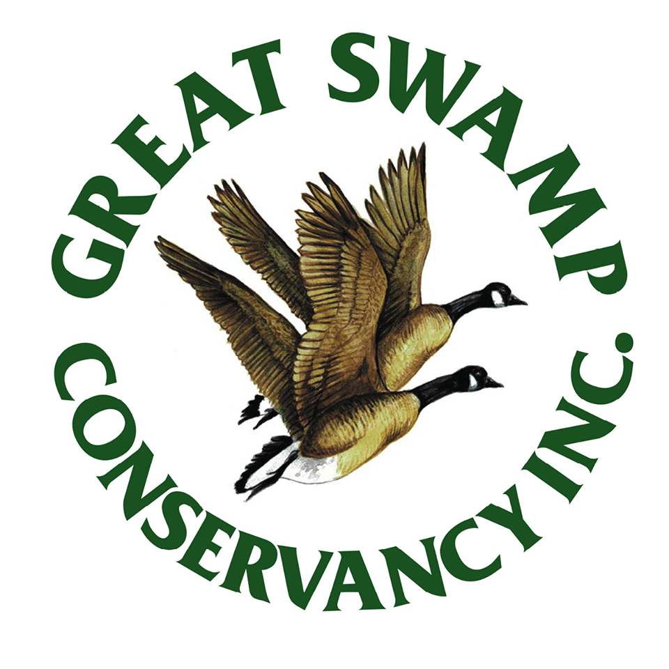 Read more about the article Great Swamp Conservancy