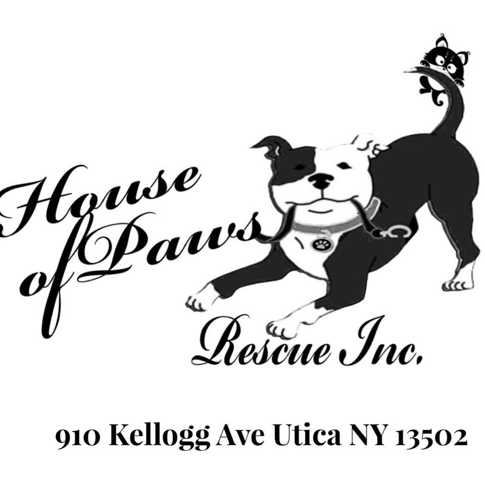 Read more about the article House of Paws, Inc.