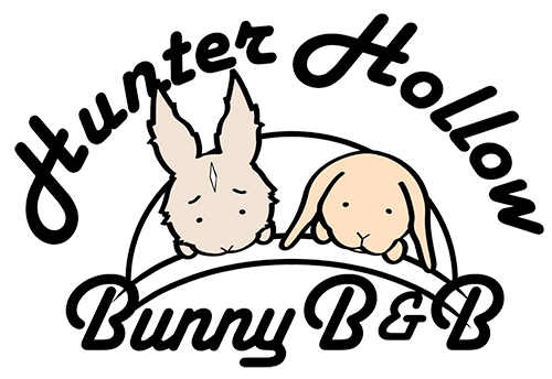 Read more about the article Hunter Hollow Bunny Bed & Breakfast