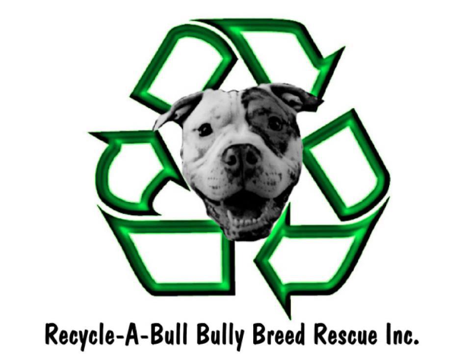 Read more about the article Recycle-A-Bull Bully Breed Rescue