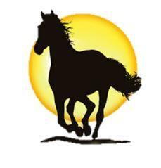 Read more about the article Sunshine Horses